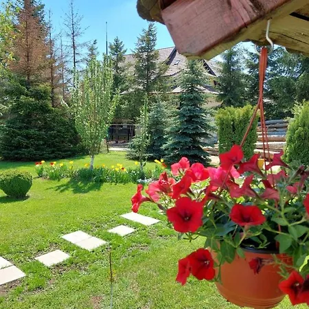 Apartmani Nika Златибор Экстерьер фото