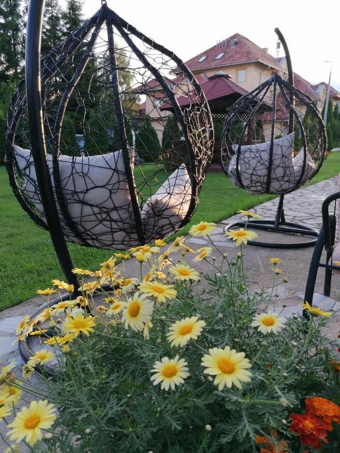 Nika Zlatibor