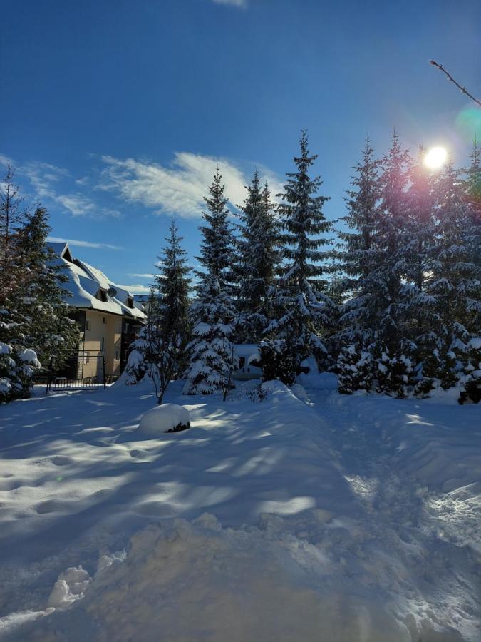 Nika Daire Zlatibor