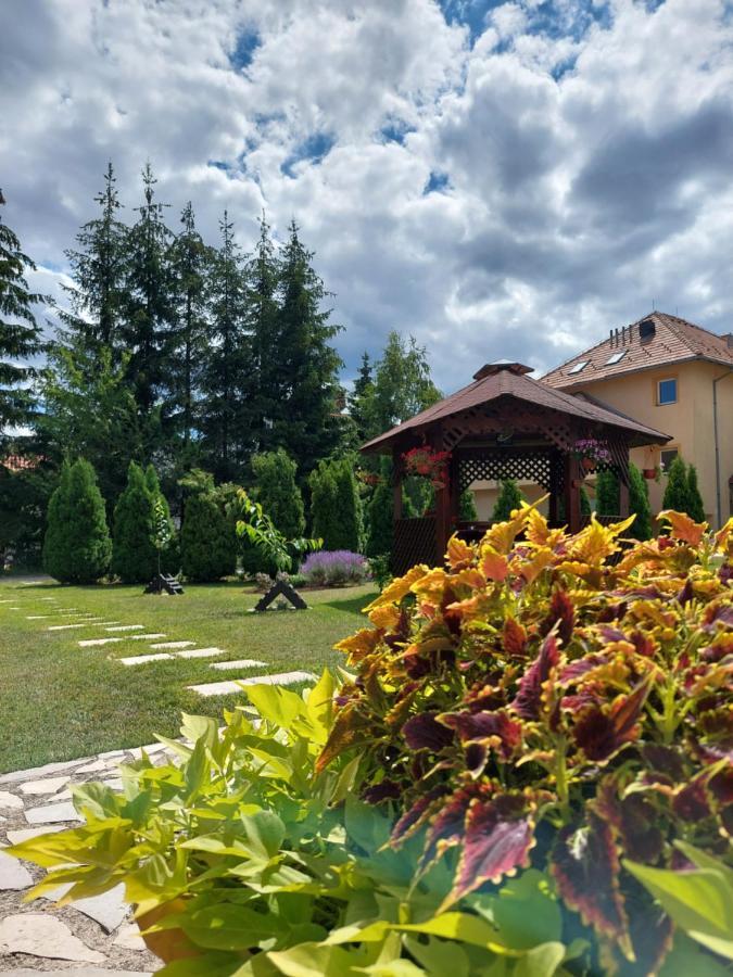 Daire Nika Zlatibor