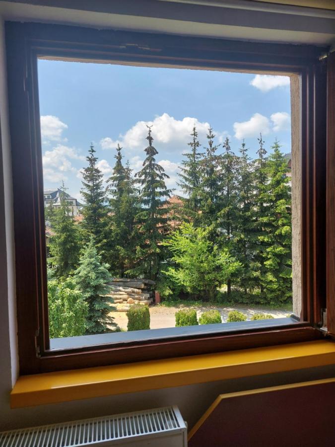 Daire Nika Zlatibor