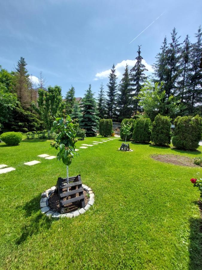 Daire Nika Zlatibor