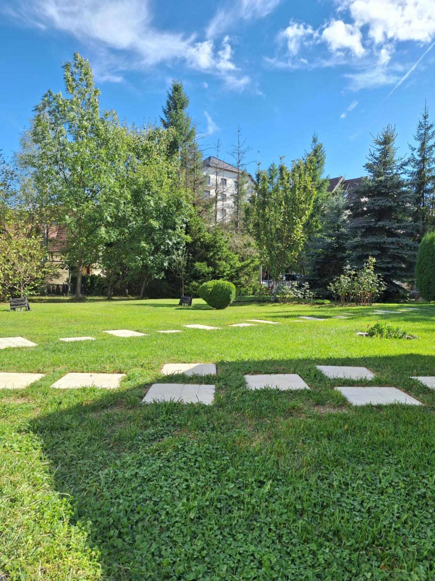 Nika Златибор