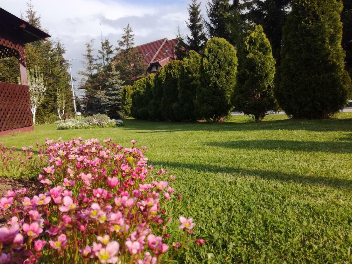 Daire Nika Zlatibor